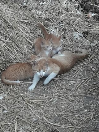 김대업님의 자유주제 · 자유게시판 작성글 사진