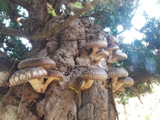 전해상님의 자유주제 · 사진전 작성글 사진