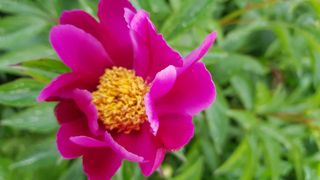 장흥 모경화 님의 작성글 사진