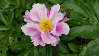 장흥 모경화 님의 작성글 사진