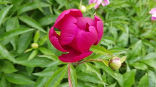 장흥 모경화 님의 작성글 사진