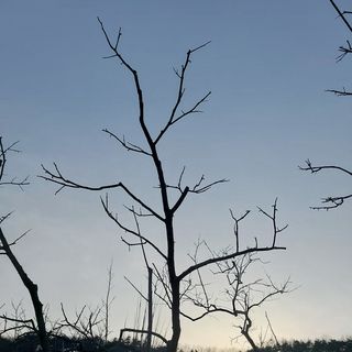 박수연님의 감 · 자유게시판 작성글 사진