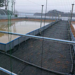 김석현님의 기타작물 · 자유게시판 작성글 사진