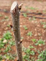 팜모닝 자유주제·사진전 게시글 이미지