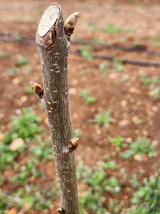 박경식님의 자유주제 · 사진전 작성글 사진