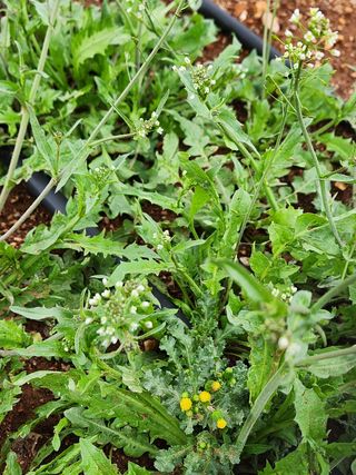 박경식님의 자유주제 · 사진전 작성글 사진