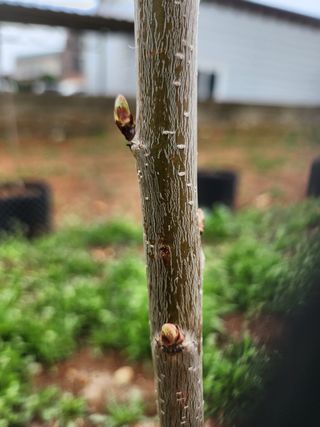 박경식님의 자유주제 · 사진전 작성글 사진