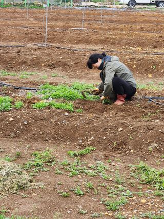 박경식님의 자유주제 · 사진전 작성글 사진