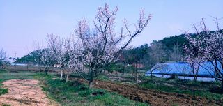 이용일님의 자유주제 · 사진전 작성글 사진