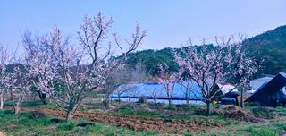 이용일님의 자유주제 · 사진전 작성글 사진