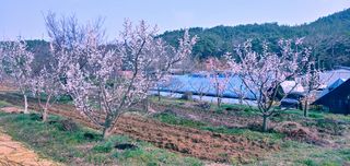 이용일님의 자유주제 · 사진전 작성글 사진