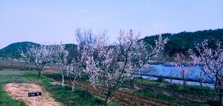 이용일님의 자유주제 · 사진전 작성글 사진