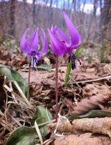 팜모닝 자유주제·사진전 게시글 이미지