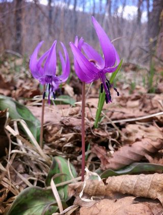 농사꾼 단비님의 자유주제 · 사진전 작성글 사진