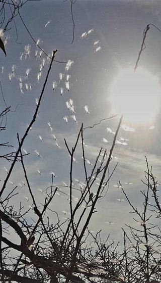 농사꾼 단비님의 자유주제 · 사진전 작성글 사진