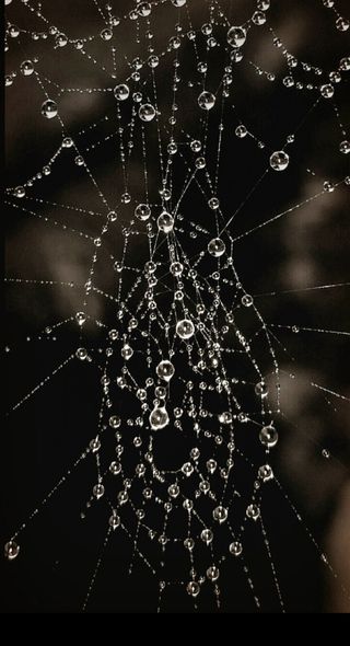 농사꾼 단비님의 자유주제 · 사진전 작성글 사진