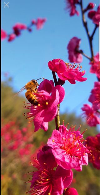 농사꾼 단비님의 자유주제 · 사진전 작성글 사진