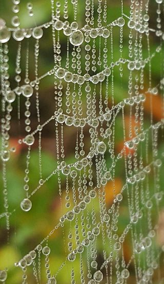 농사꾼 단비님의 자유주제 · 사진전 작성글 사진