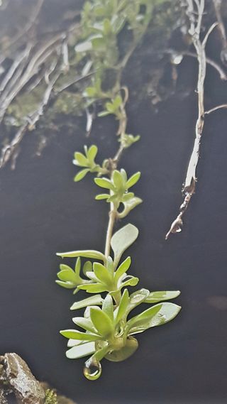 농사꾼 단비님의 자유주제 · 사진전 작성글 사진