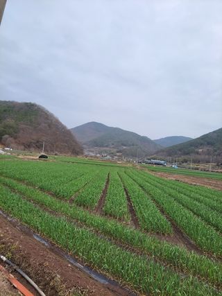 농사꾼 단비님의 자유주제 · 사진전 작성글 사진