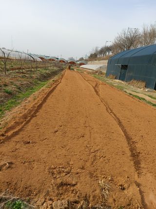 이명규님의 감자 · 자유게시판 작성글 사진