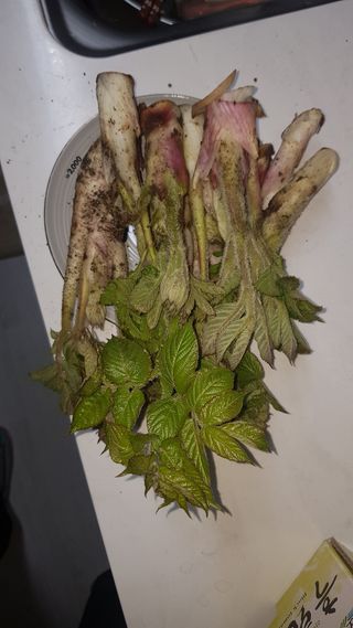 박종성님의 작성글 사진