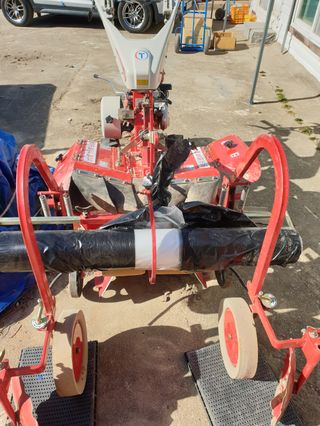 오영관님의 감자 · 자유게시판 작성글 사진