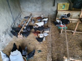 박무성님의 자유주제 · 사진전 작성글 사진