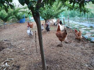 박무성님의 자유주제 · 사진전 작성글 사진