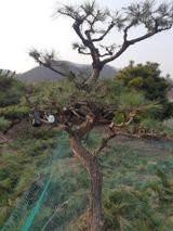 팜모닝 자유주제·자유게시판 게시글 이미지