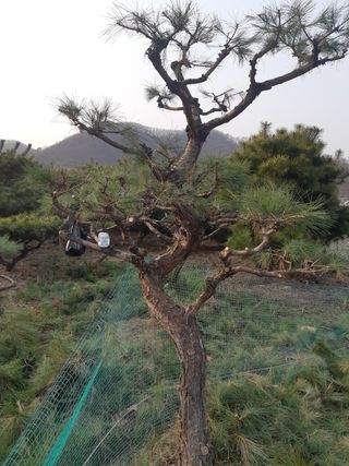 자부님의 자유주제 · 자유게시판 작성글 사진