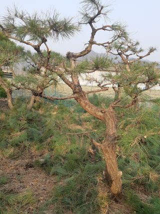 자부님의 자유주제 · 자유게시판 작성글 사진