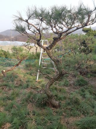 자부님의 자유주제 · 자유게시판 작성글 사진