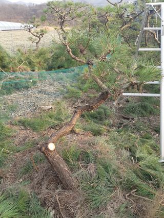 자부님의 자유주제 · 자유게시판 작성글 사진