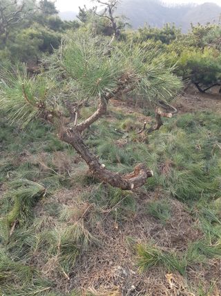 자부님의 자유주제 · 자유게시판 작성글 사진