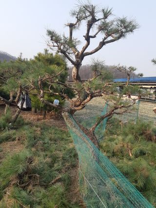 자부님의 자유주제 · 자유게시판 작성글 사진