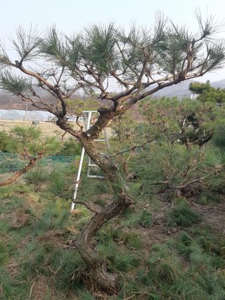 자부님의 자유주제 · 자유게시판 작성글 사진