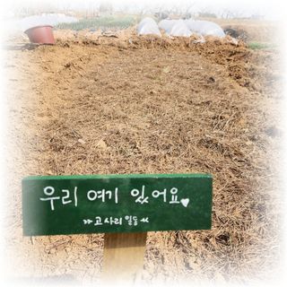 다락님의 자유주제 · 사진전 작성글 사진