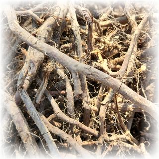 다락님의 자유주제 · 사진전 작성글 사진