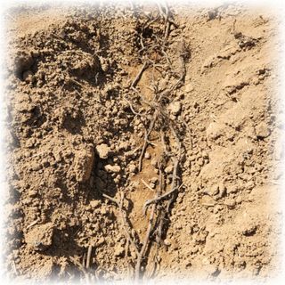 다락님의 자유주제 · 사진전 작성글 사진