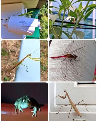 김지연님의 자유주제 · 사진전 작성글 사진