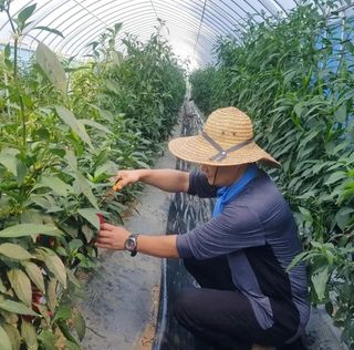 김지연님의 자유주제 · 사진전 작성글 사진