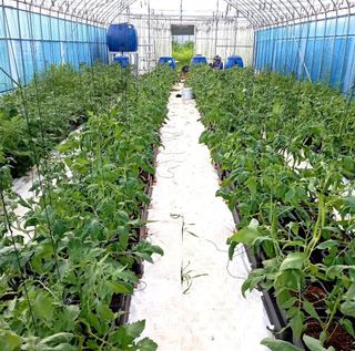 김지연님의 자유주제 · 사진전 작성글 사진