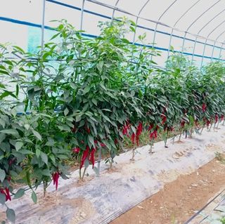 김지연님의 자유주제 · 사진전 작성글 사진