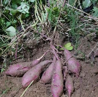 김지연님의 자유주제 · 사진전 작성글 사진