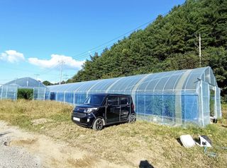 김지연님의 자유주제 · 사진전 작성글 사진