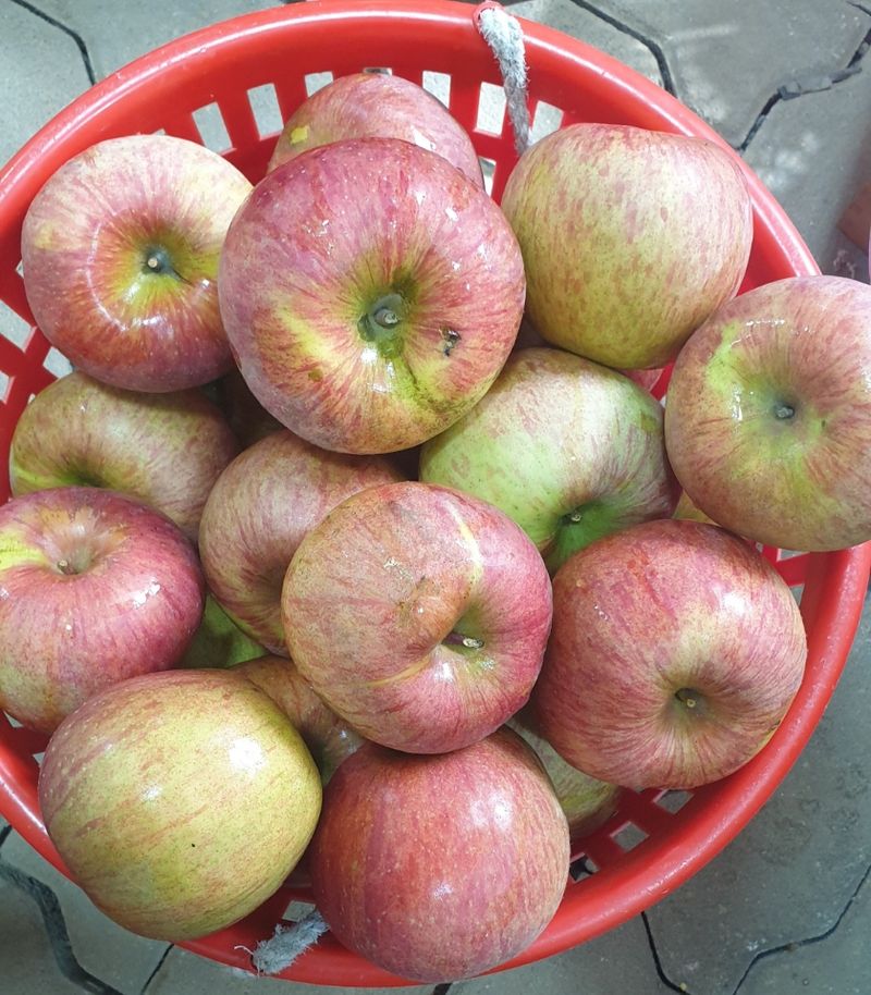 장터 상품 [사과즙 50봉 120미리 ] 썸네일