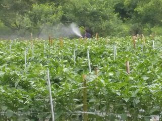 김현옥님의 자유주제 · 자유게시판 작성글 사진