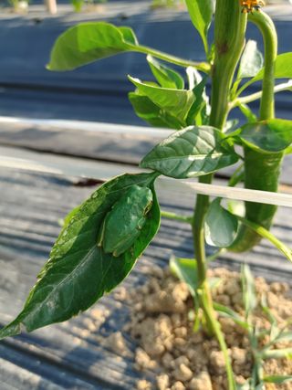 김현옥님의 자유주제 · 자유게시판 작성글 사진