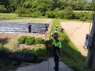 김현옥님의 자유주제 · 자유게시판 작성글 사진